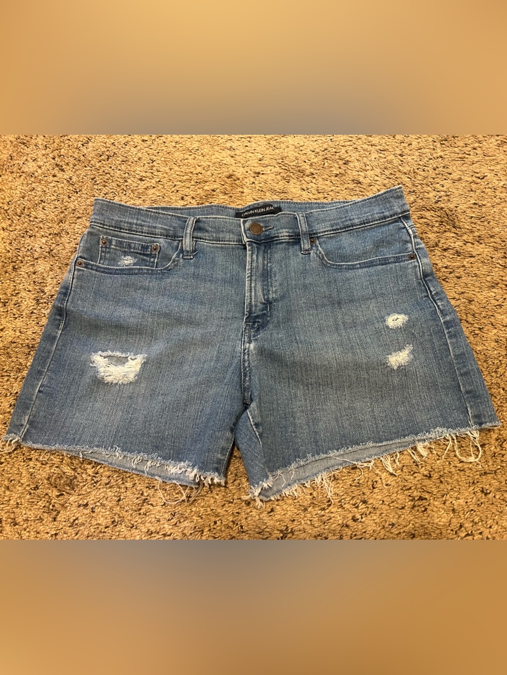 Calvin Klein Distressed cutoff Jean Shorts